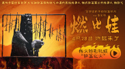 1080HD手机在线观看