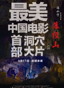 手机免费播放